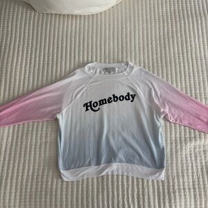 Wildfox Pink and Blue Ombre Sweater